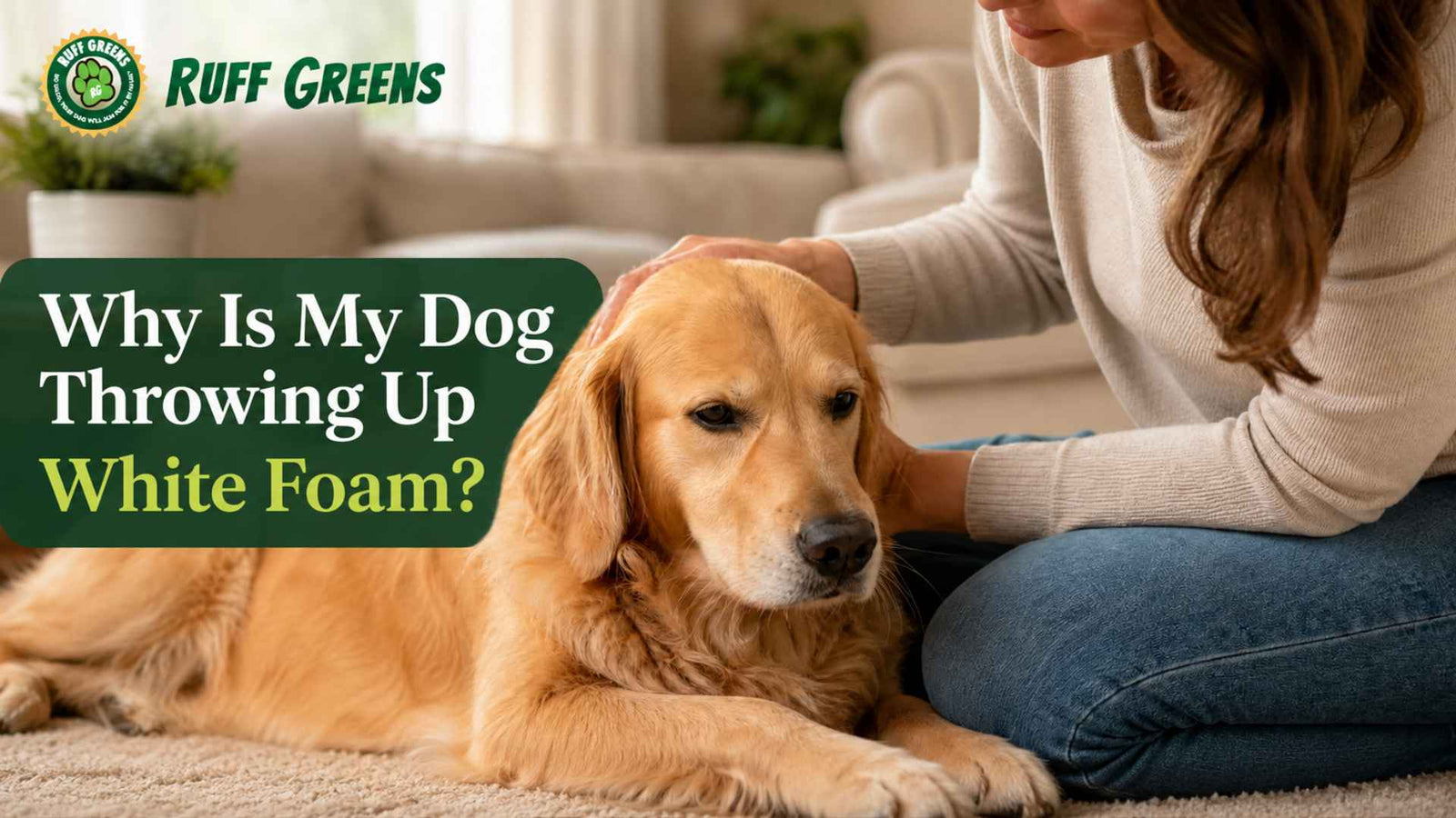 Why Is My Dog Throwing Up White Foam? Causes & Vet Advice