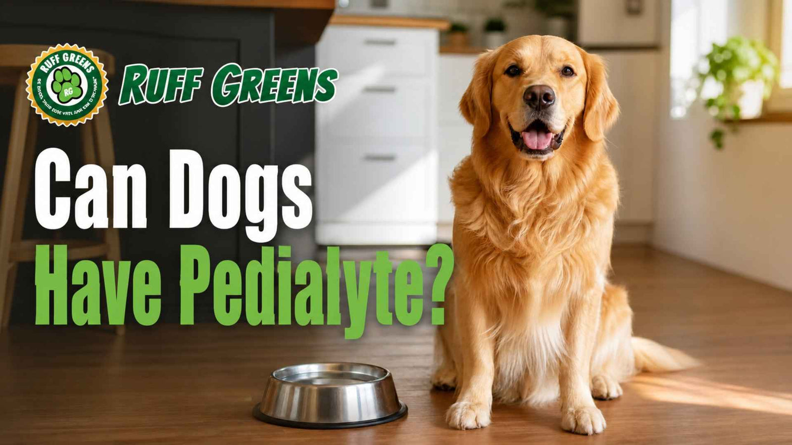 Can Dogs Have Pedialyte? A Vet Backed Guide to Dog Hydration