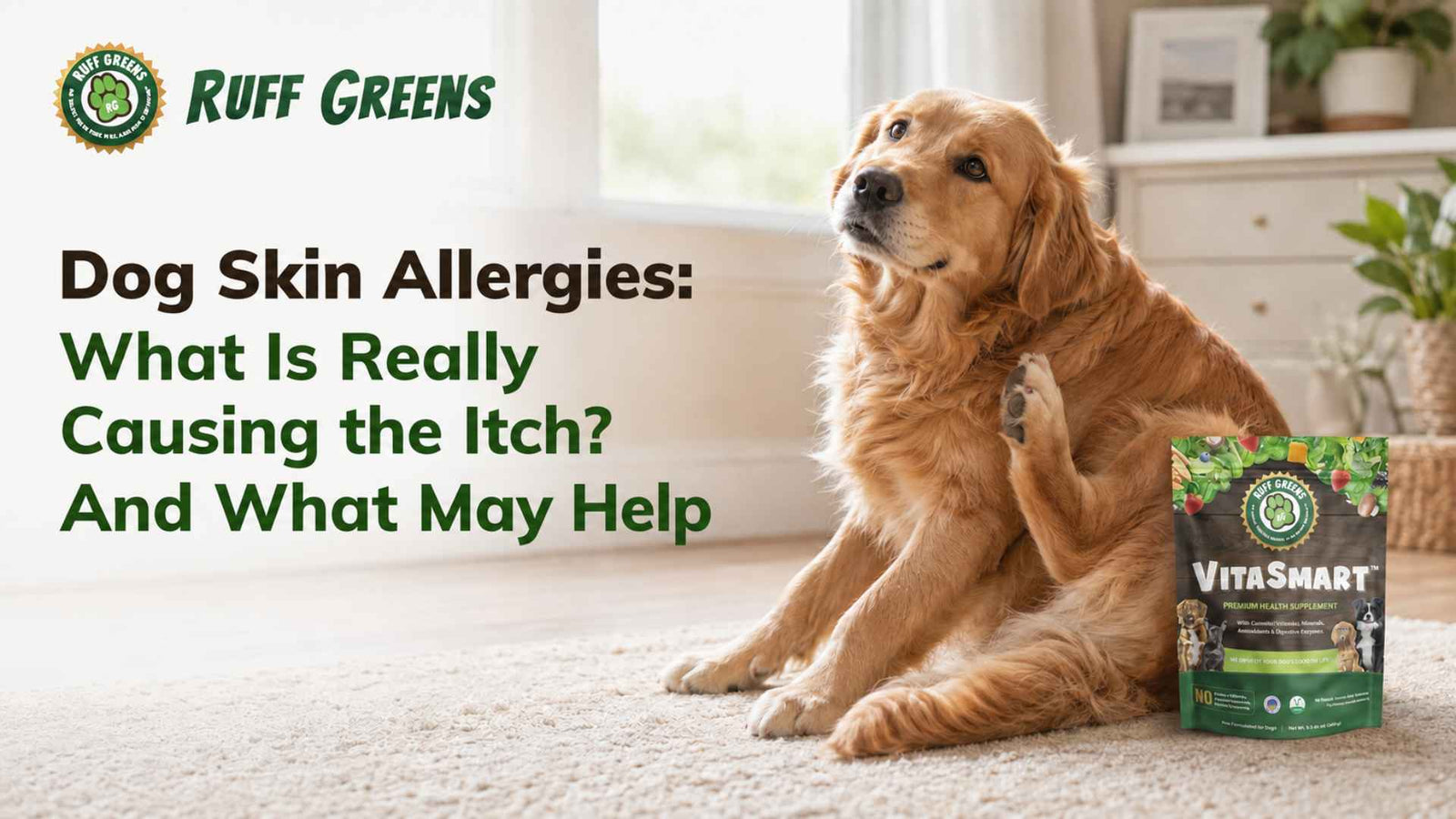 Dog Skin Allergies: Why Your Dog Is Itchy and What May Help