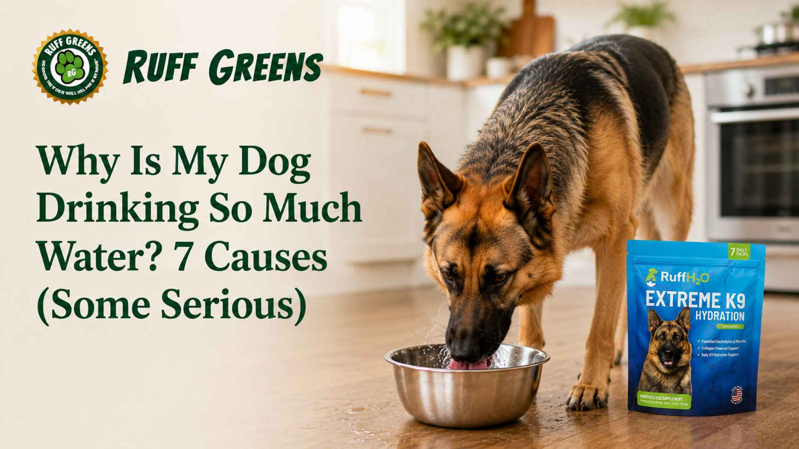 Why Is My Dog Drinking So Much Water? 7 Causes (Some Serious)