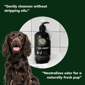 K9 Care 4 in 1 Shampoo