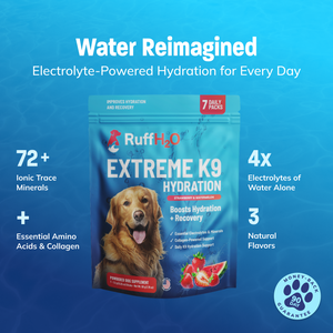 Ruff H2O, K9 Hydration