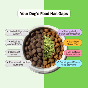 Ruff Greens, VitaSmart