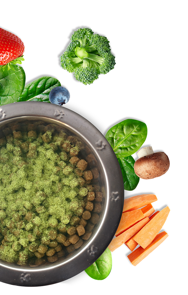 Bowl with Vegetables