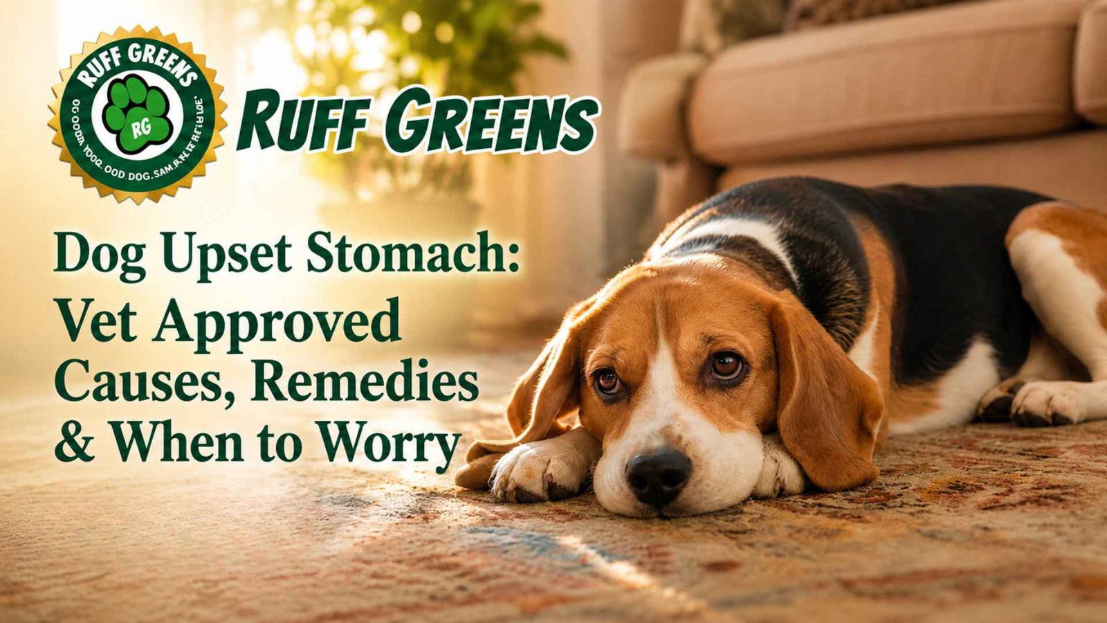 Dog Upset Stomach: Vet Approved Causes, Remedies & When to Worry (2026)