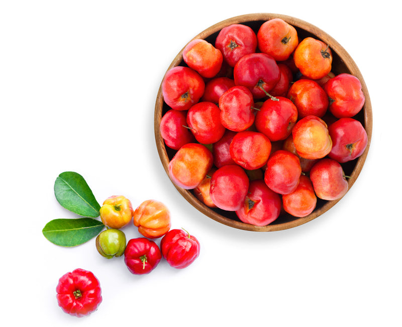 Acerola Cherry fruit used in dog nutrition