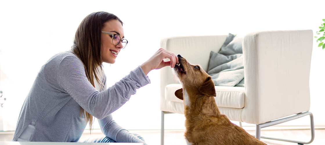 Are Pet Sitter's That Good? - Ruff Greens