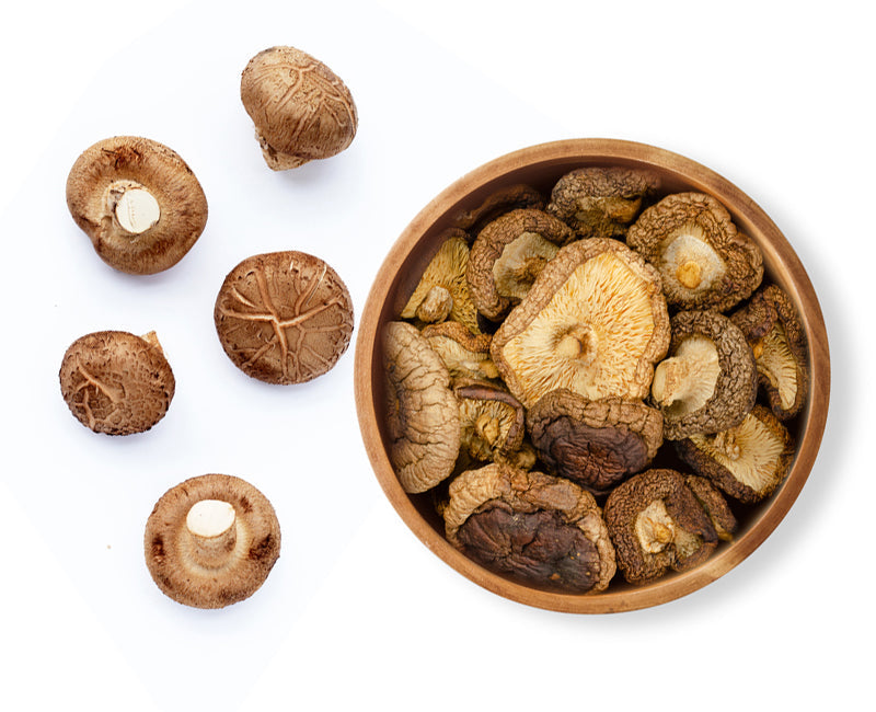 Shiitake mushrooms for dogs: ingredient and safety guide