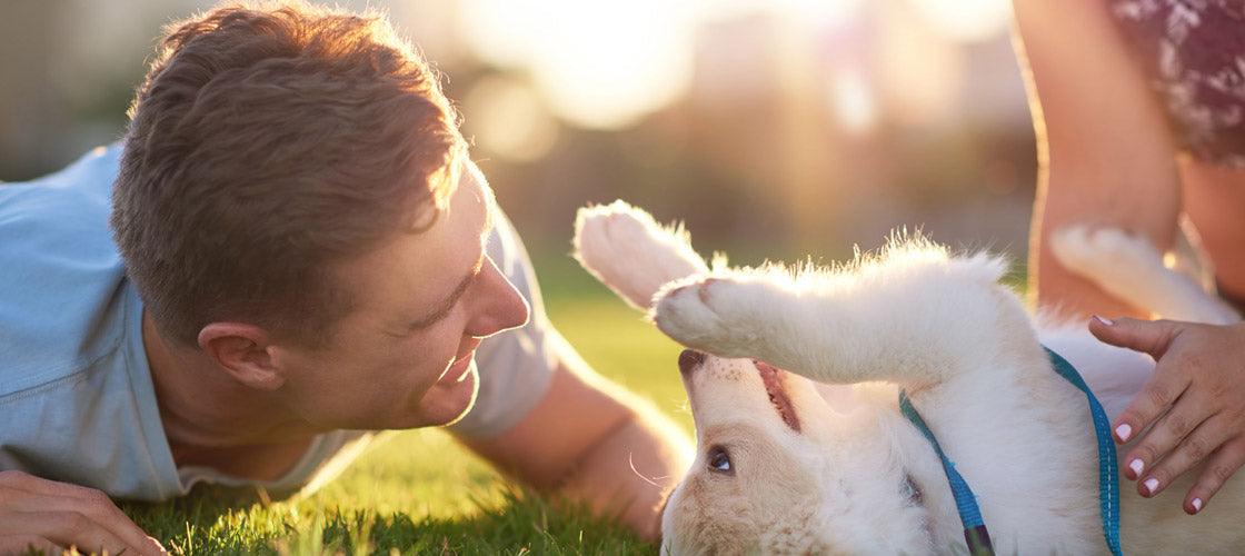 Top Ten Tips to Keep Your Dog Healthy