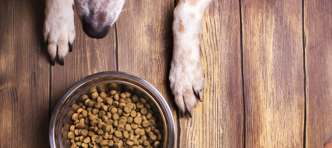 Why do I need to add anything to my dog’s food?