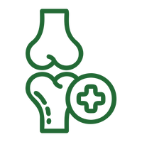 Supports Joint Health