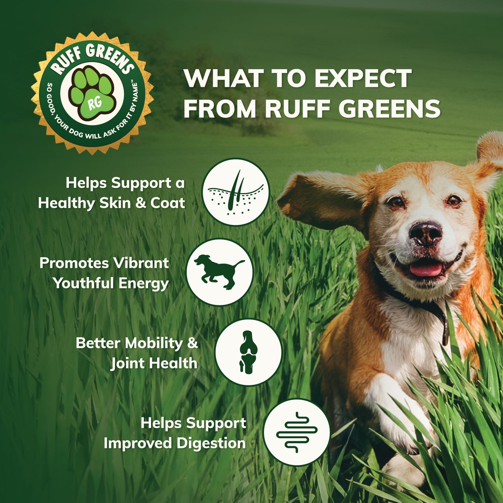 For Dogs - Ruff Greens