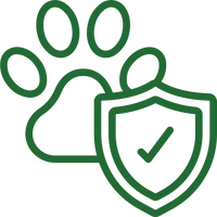 Enhances Immune System