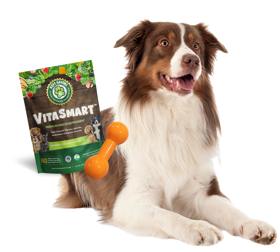 VitaSmart