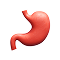 Digestion