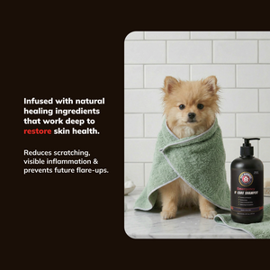 Emergency K9 Care Shampoo