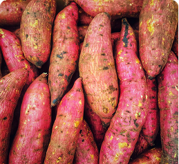 Sweet Potato