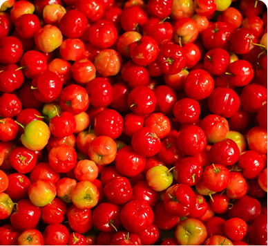 Acerola Cherry