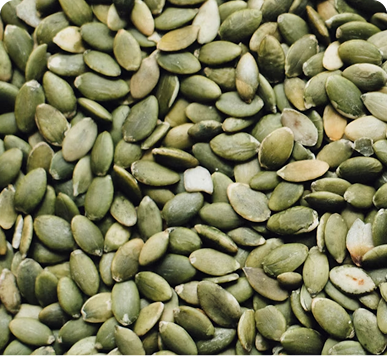Pumpkin Seed