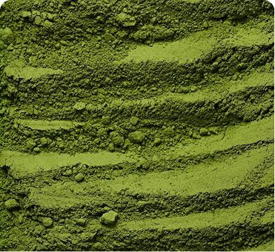 Spirulina