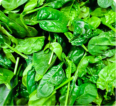 Spinach