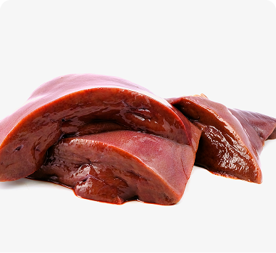 Beef Liver