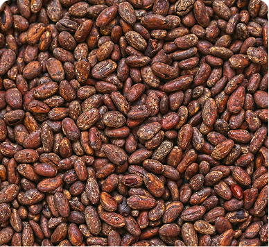 Cocoa Surfactants