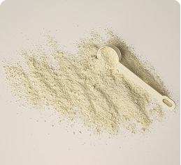 Gelatin Hydrolysate