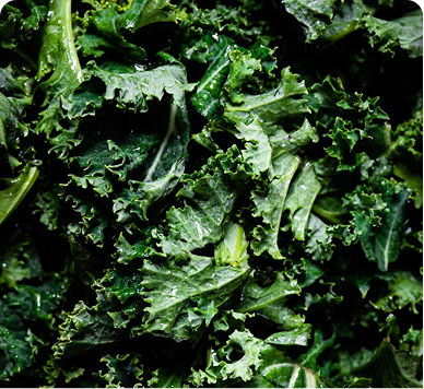 Kale