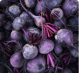 Beet Root Powder