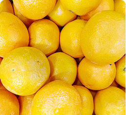 Citric Acid