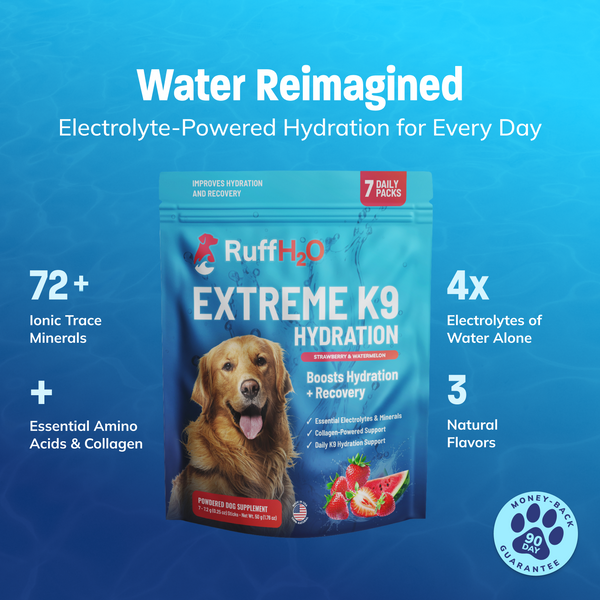 Ruff H2O, K9 Hydration