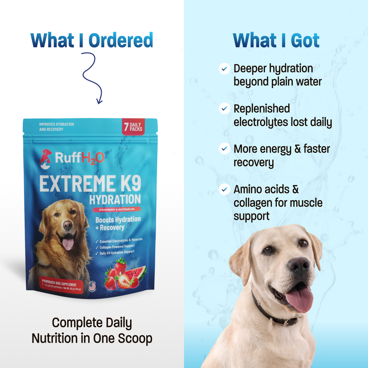 Ruff H2O, K9 Hydration