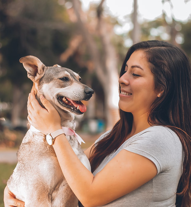 Happy Dog with Owner
