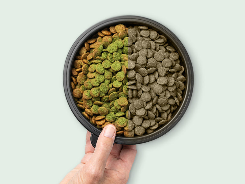 A bowl of dry processed kibble