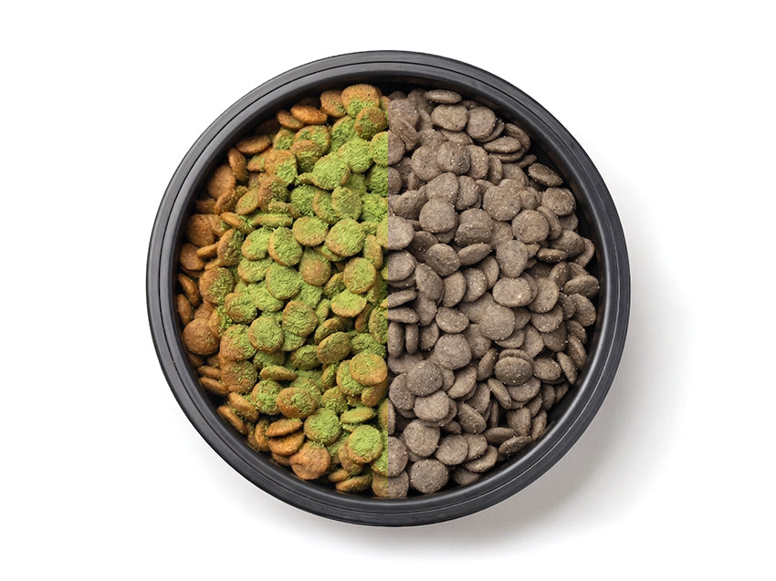 A bowl of dry processed kibble