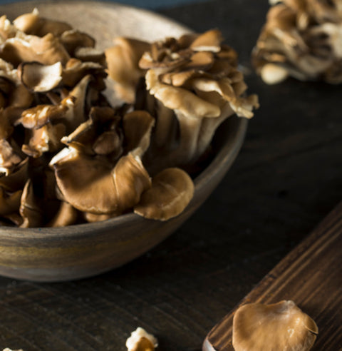 Maitake Mushroom