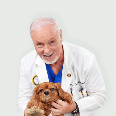 Naturopathic Dr. Dennis Black