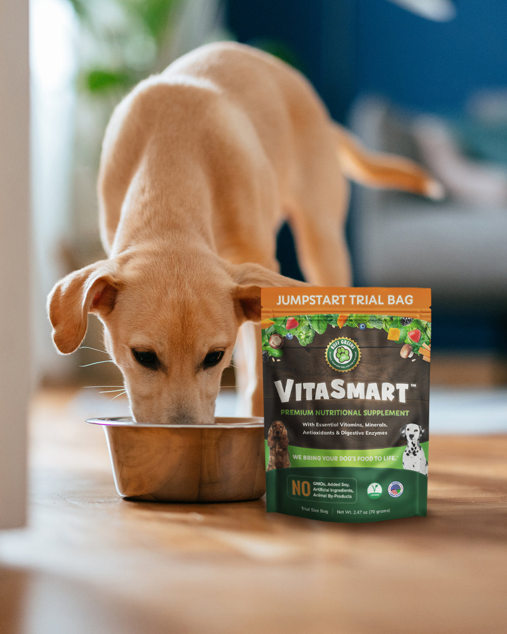 VitaSmart bag beside a dog's feeding bowl on a kitchen counter