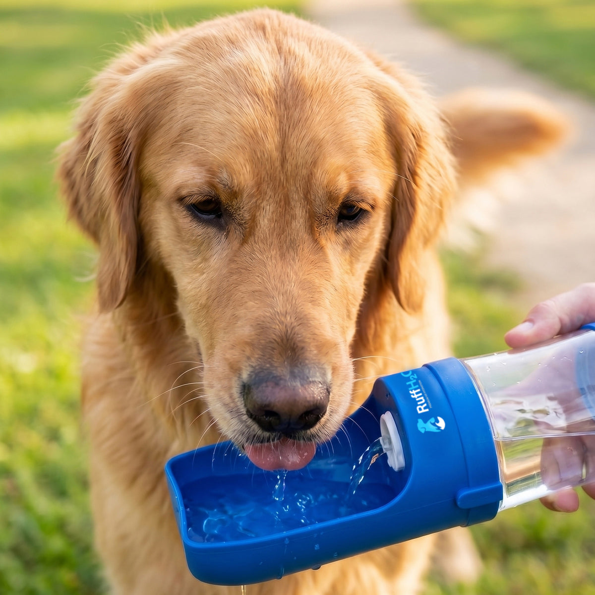 RuffH2O, Travel Water Bottle