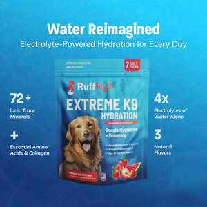 Ruff H2O, K9 Hydration