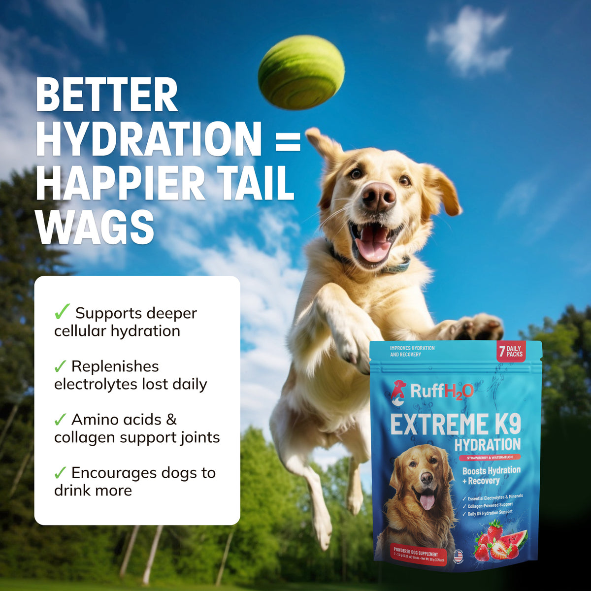 Ruff H2O, K9 Hydration