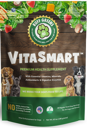 Everything your dog needs.