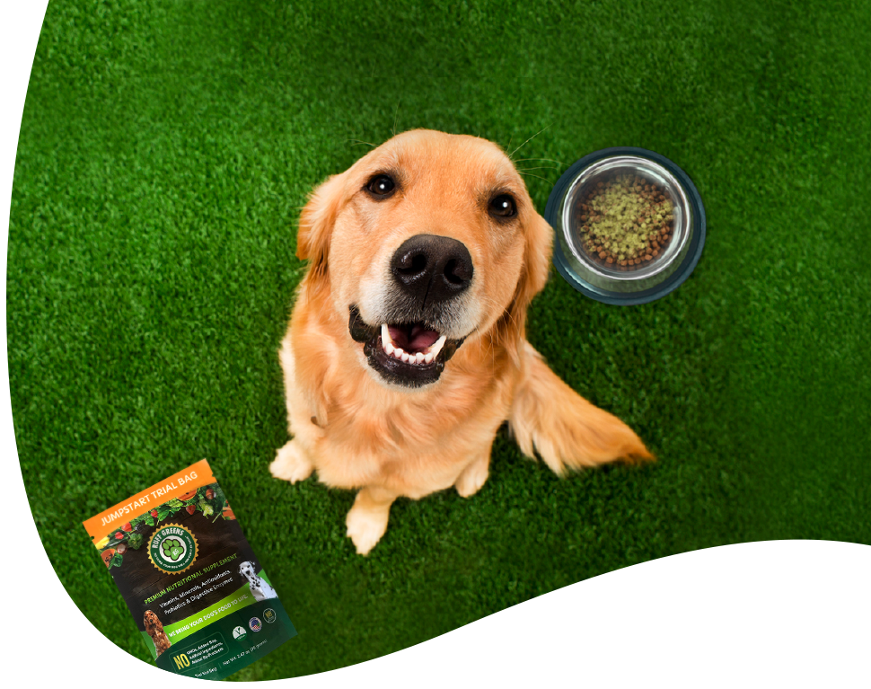 Digestive Support - Paw-Greens: Green Food for Dogs & Pets