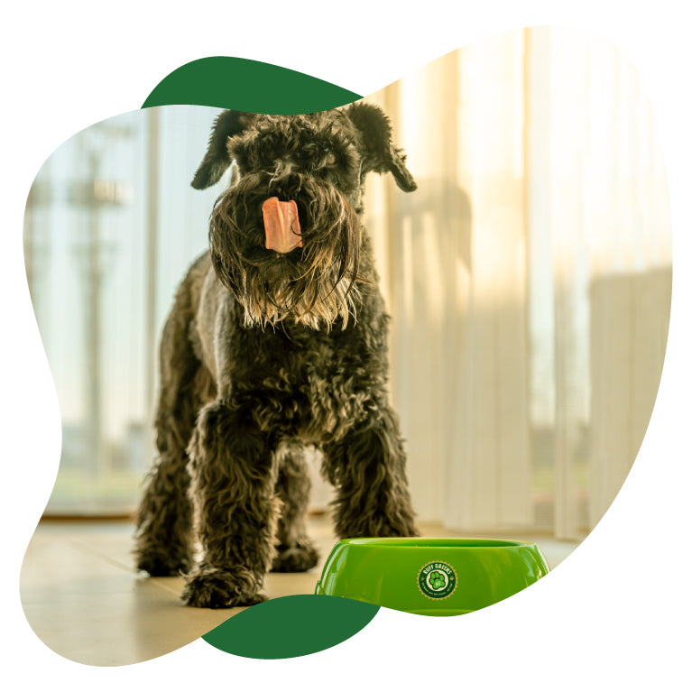 Free Ruff Greens Feeding - Ruff Greens