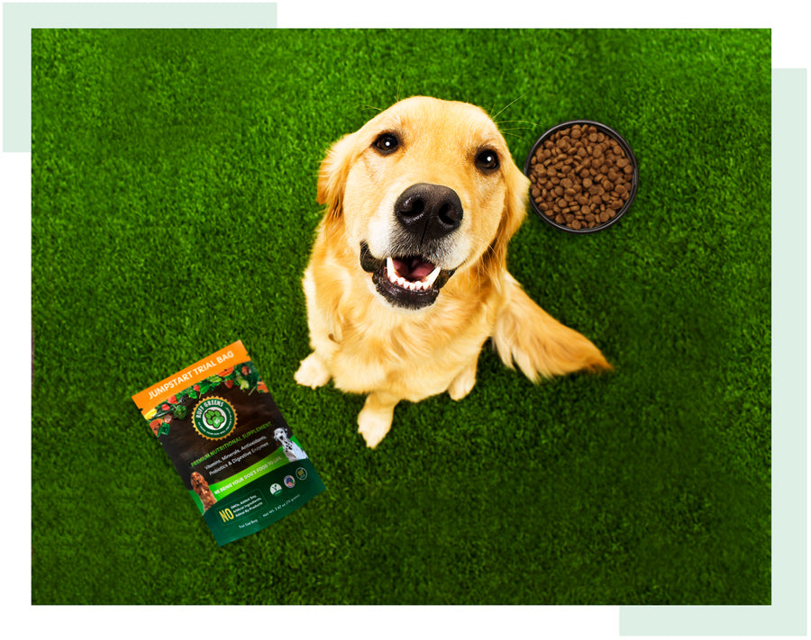 Free Ruff Greens Campaigns - Ruff Greens